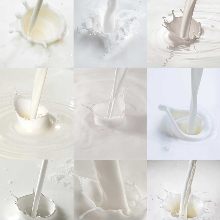 Featured image for “Members’ Gallery: Milk-Splash Photography (WTB 7)”